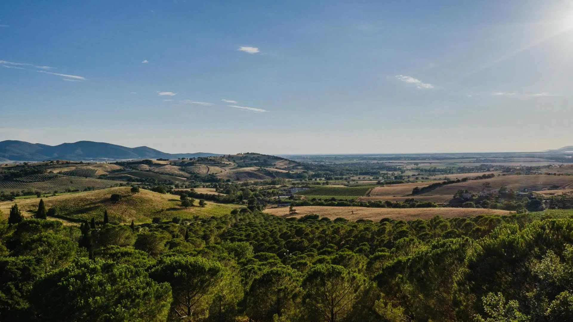 La Pergola Villa Diaccialone Farm stay